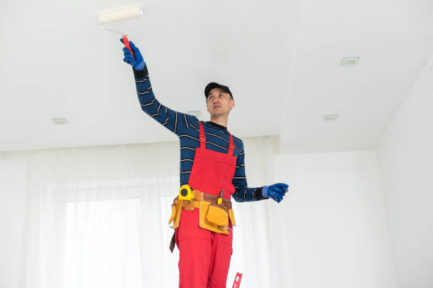 Trusted Casa Conejo, CA Painting & Drywall Services Experts